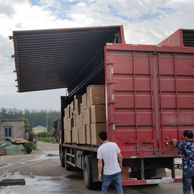 邯山区扎囊县：物流专线的高效货运之旅